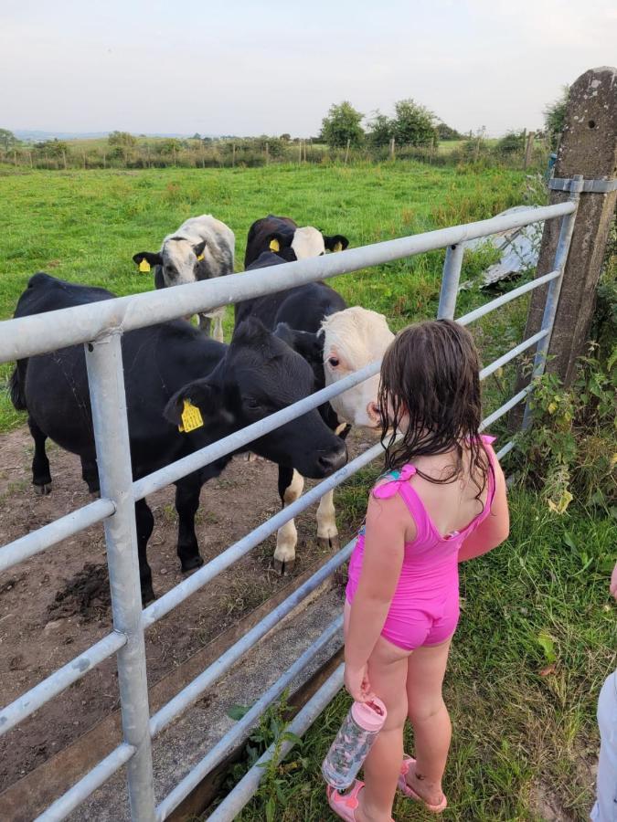 Crockgarve B And B Galbally Buitenkant foto