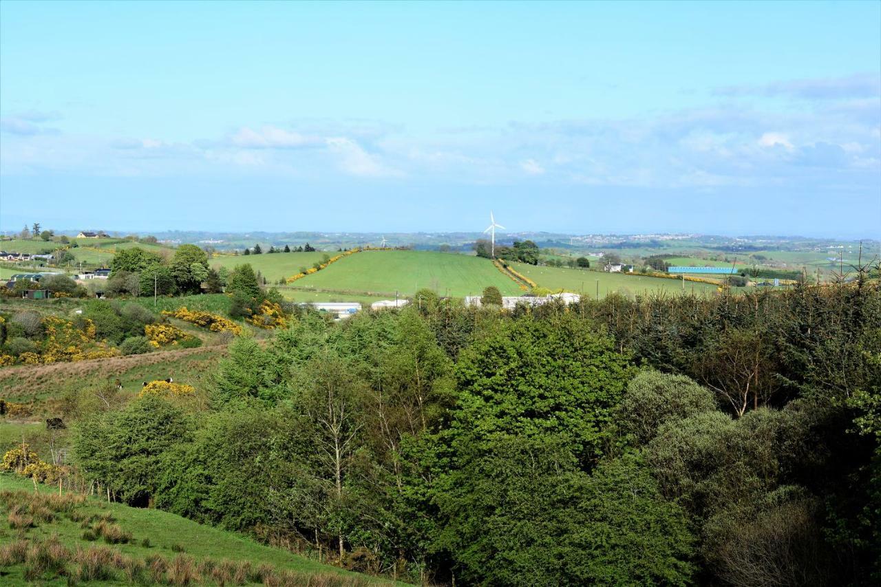 Crockgarve B And B Galbally Buitenkant foto